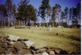 Sherrill Cemetery_2 * 880 x 596 * (240KB)